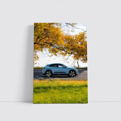 Porsche Macan Blue Side Profile Autumn Trees