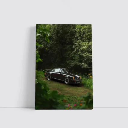 Black Porsche 911 Parked in Green Forest