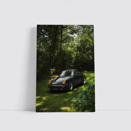 Black Porsche 911 Parked in Green Forest