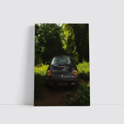 Black Porsche 911 Parked in Green Forest