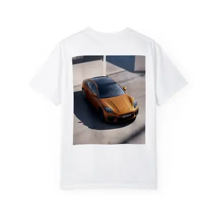 Porsche Panamera Orange Minimal Parking Setting