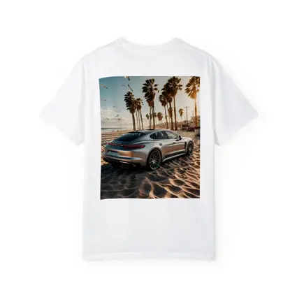 Porsche Panamera Silver Beach Palm Trees