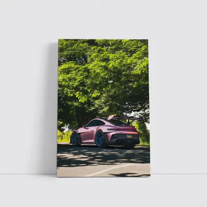 Porsche 911 GT3 RS Pink Road Trees