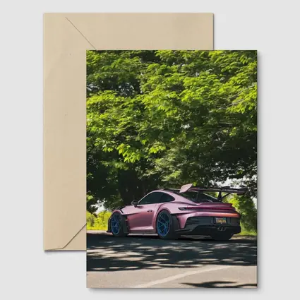 Porsche 911 GT3 RS Pink Road Trees