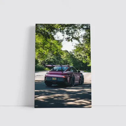 Porsche 911 GT3 RS Rose Road Trees