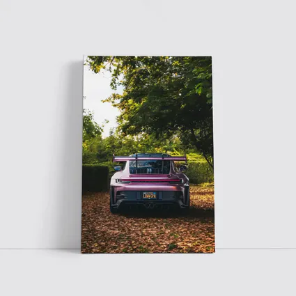 Porsche 911 GT3 RS Rose Purple Park