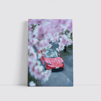 Porsche Taycan Red Cherry Blossom Trees