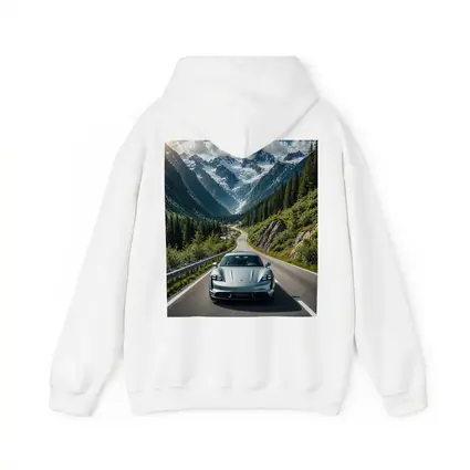 Porsche Taycan Silver Mountain Alpine Road Drive