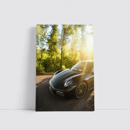 Black Porsche 911 Parked in Sunlit Forest