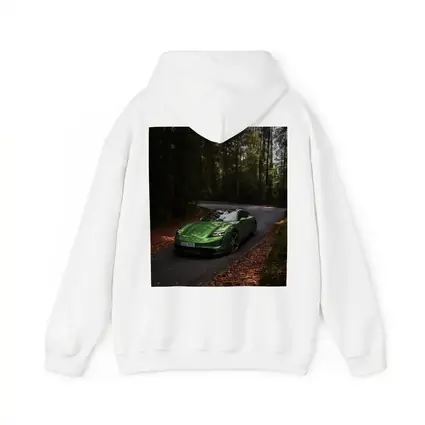 Porsche Taycan Green Forest Road Drive