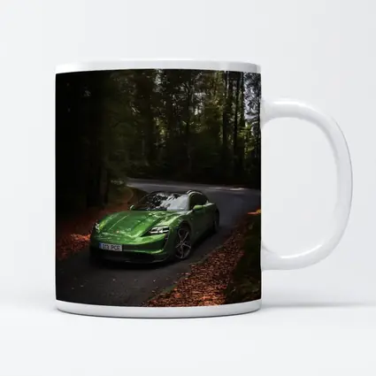 Porsche Taycan Green Forest Road Drive