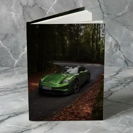 Porsche Taycan Green Forest Road Drive