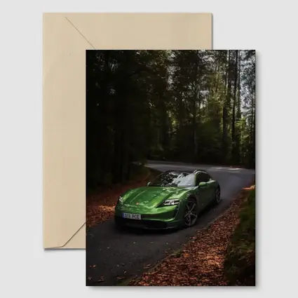 Porsche Taycan Green Forest Road Drive