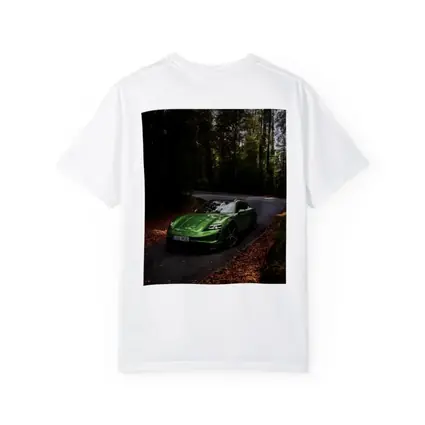 Porsche Taycan Green Forest Road Drive