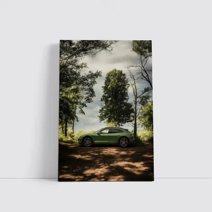 Porsche Taycan Green Forest Side Profile
