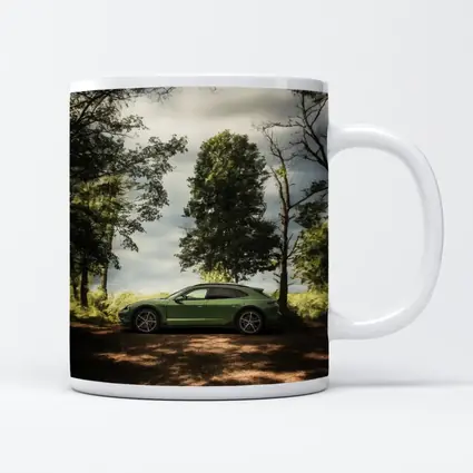 Porsche Taycan Green Forest Side Profile