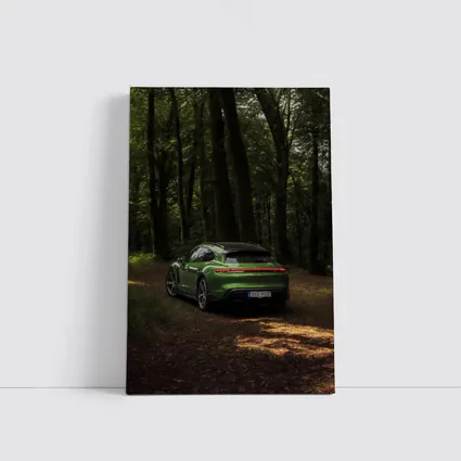 Porsche Taycan Green Forest Road Shot