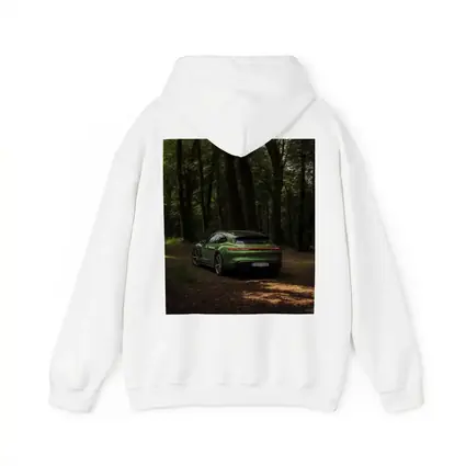 Porsche Taycan Green Forest Road Shot