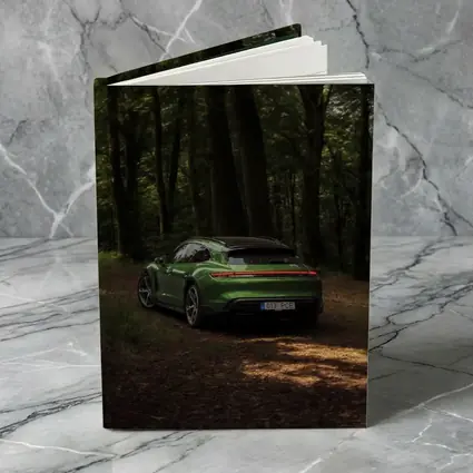 Porsche Taycan Green Forest Road Shot