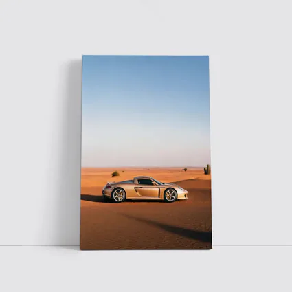 Porsche Carrera GT Silver Desert Landscape