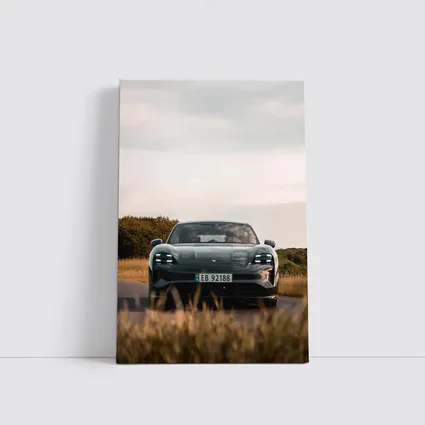 Porsche Taycan Front View Rural Road