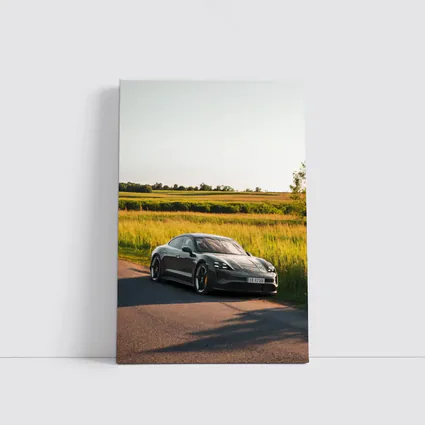 Porsche Taycan Dark Gray Country Road