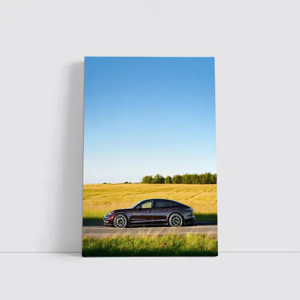 Porsche Taycan Dark Red Open Road Fields