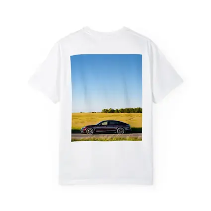 Porsche Taycan Dark Red Open Road Fields