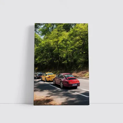 Porsche 911 Cars On Tree Lined Road