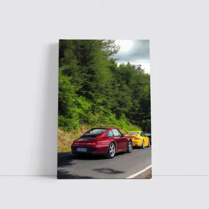 Porsche 911 Duo on Forest Road
