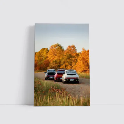 Porsche 911 Classic Cars Autumn Forest Road