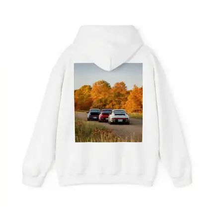 Porsche 911 Classic Cars Autumn Forest Road