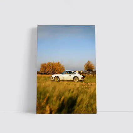 White Porsche 911 Parked in Autumn Field