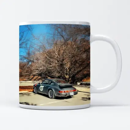 Porsche 911 Race Car Bare Winter Trees