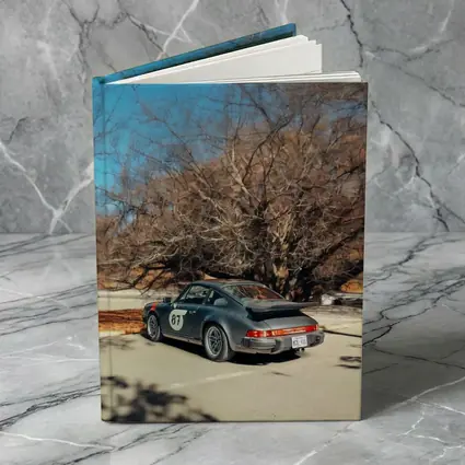 Porsche 911 Race Car Bare Winter Trees