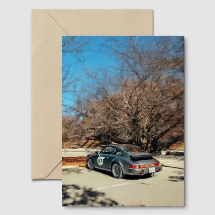 Porsche 911 Race Car Bare Winter Trees