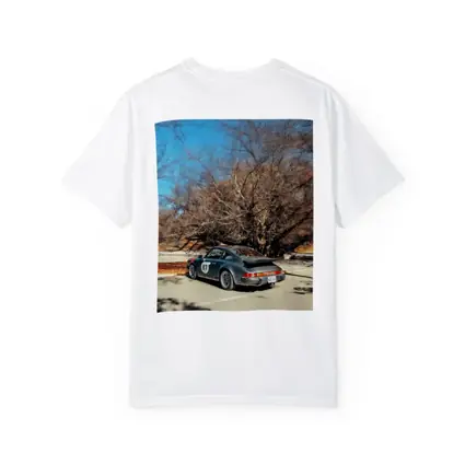 Porsche 911 Race Car Bare Winter Trees