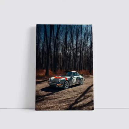 Porsche 911 Rally Car Bare Winter Forest