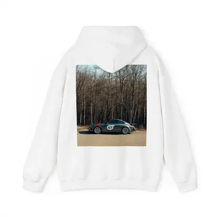 Porsche 911 Race Car Bare Winter Forest