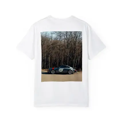Porsche 911 Race Car Bare Winter Forest