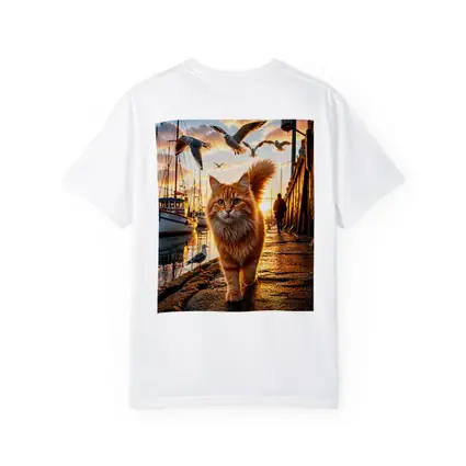 Orange Cat Walking Harbor Sunset Seagulls