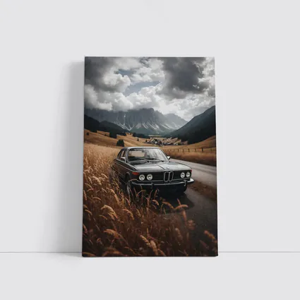 Classic BMW Sedan Mountain Valley Road