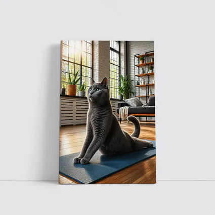 Russian Blue Cat Doing Yoga Indoors