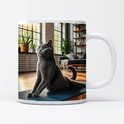Russian Blue Cat Doing Yoga Indoors