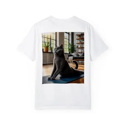 Russian Blue Cat Doing Yoga Indoors