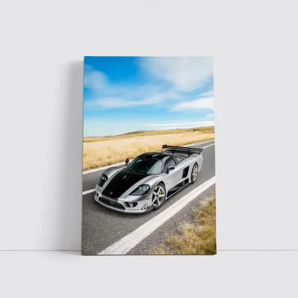 Saleen S7 Supercar On Open Country Road