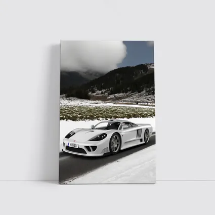 Saleen S7 White Supercar Snowy Road
