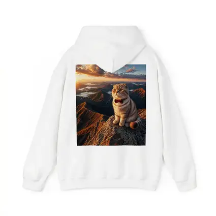 Scottish Fold Cat Mountain Sunset Landscape
