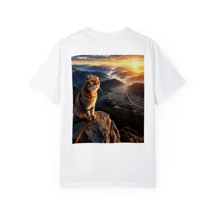 Scottish Fold Cat Mountain Summit Sunset View