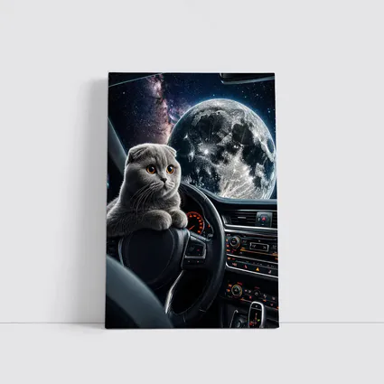 Scottish Fold Cat Driving Through Space